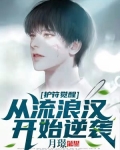 护符觉醒：从流浪汉开始逆袭