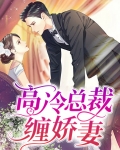 高冷总裁缠娇妻