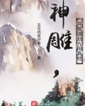 神雕之九阴真经的小说