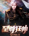 《至尊狂颜》