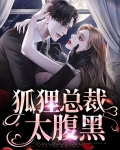 小狐狸总裁文