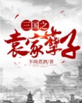 三国之袁家孽子免费阅读