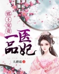 邪王宠妻：一品医妃