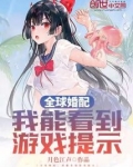 全球婚配:我能看到游戏提示 小说