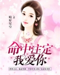 命中注定我爱你演员表