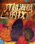 穿越海贼的我对铁块迷之自信