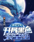 神奇宝贝：开局黑色裂空座