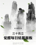 三十而立，觉醒每日结算面板