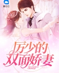 厉少的双胞胎