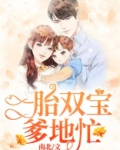 一胎双宝爹地忙