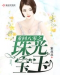 重回八零之珠光宝玉txt