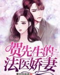 贺先生的法医娇妻