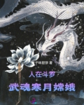 人在斗罗：武魂寒月嫦娥