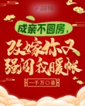成亲不圆房,改嫁你又强闯我暖帐