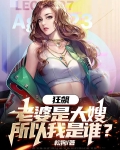 狂飙老婆是大嫂所以我是谁