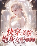快穿之炮灰美貌值报表叶汐