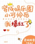 穿成娱乐圈小可怜后我爆红了 女主