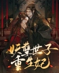 妖孽世子重生妃