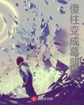 四合院:傻柱变成葛朗柱作者