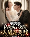 替嫁甜妻：闪婚后残疾大佬宠哭我