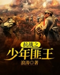 抗战之少年匪王