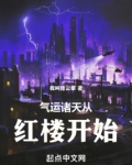 气运诸天从红楼开始