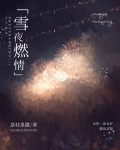 雪夜燃情全文免费阅读小说