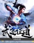 以武证道