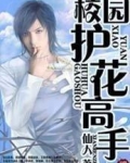 校园护花高手