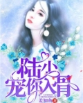 封少宠妻入骨完整版