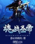 魂帝 魂圣 魂斗罗