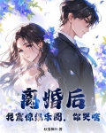 离婚后我火遍娱乐圈