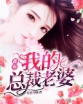 都市：我的总裁老婆