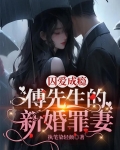 傅先生瘾婚成瘾