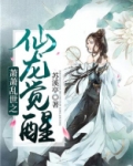萧萧乱世之仙龙觉醒