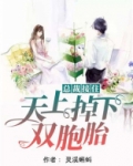总裁接住天上掉下双胞胎全文免费阅读