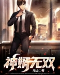 神婿无双