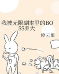 我被无限副本里的BOSS养大 小说