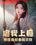神医毒妃一
