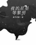 黎明觉醒星星