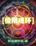 斗罗大陆极限魂环