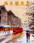 丛生散文集 梁丛生