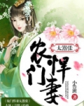 农门悍妻太嚣张 小鲁班