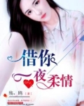 借你一夜柔情歌词