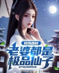 老婆是修炼废渣