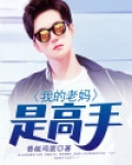 我的老妈是高手在线阅读