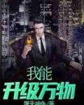 我能升级万物TXT
