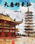 大唐好圣孙起点