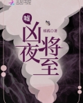 嘘凶夜将至写的是什么