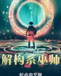 解构系巫师无防盗
